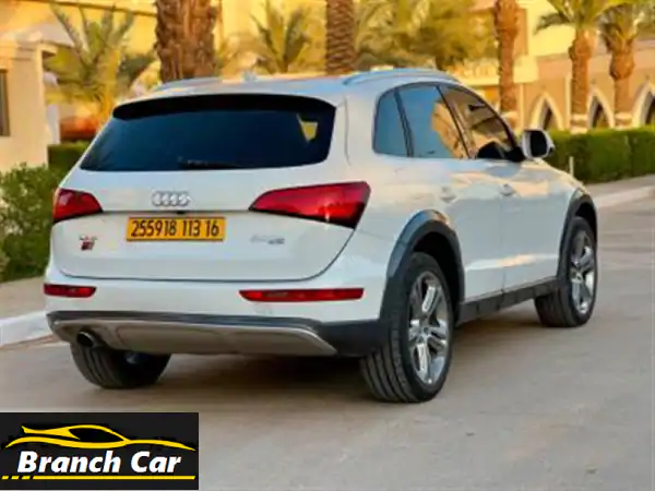 Audi Q52013 Off Road