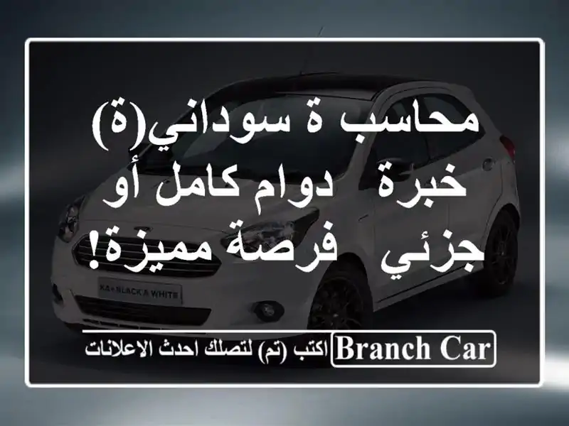 محاسب/ة سوداني(ة) خبرة - دوام كامل أو جزئي - فرصة مميزة!