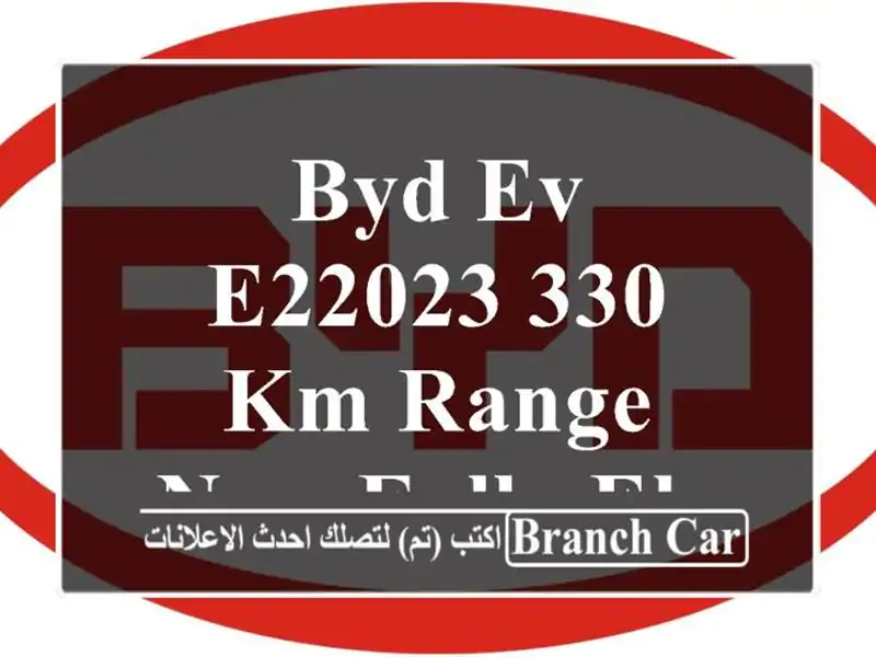 BYD EV E22023  330 km Range New Fully Electric Car