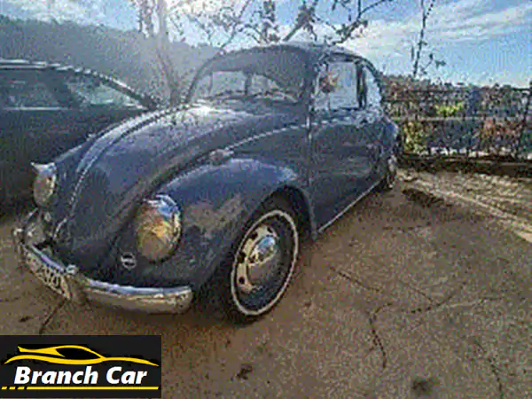 volkswagen beetle very clean car 03576322