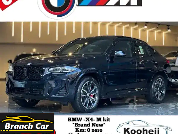 BMW  *X4  Xdrive30 i u002 F M kit*