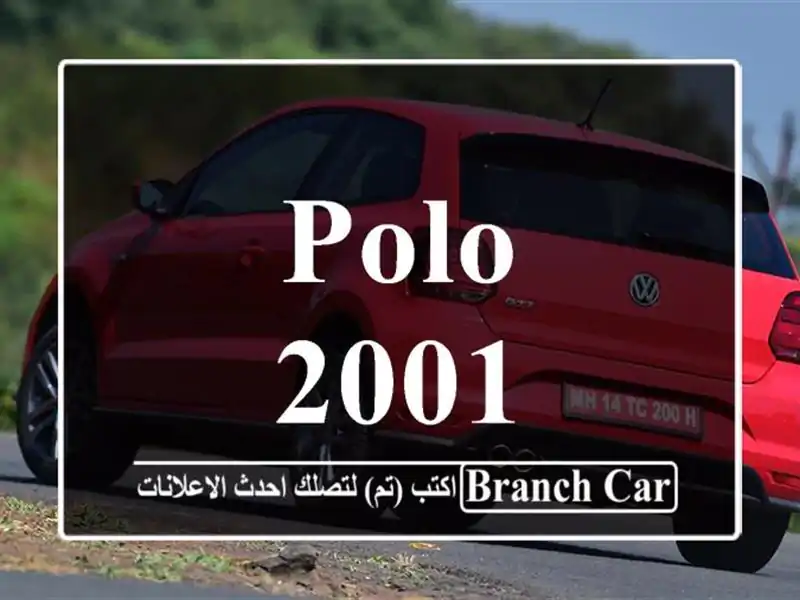 Polo 2001