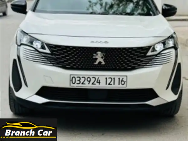 Peugeot 300820213008