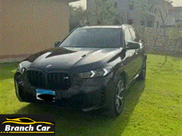 BMW X52024