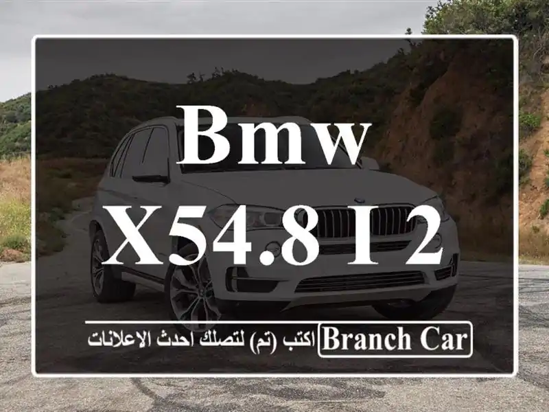 BMW X54.8 i 2010