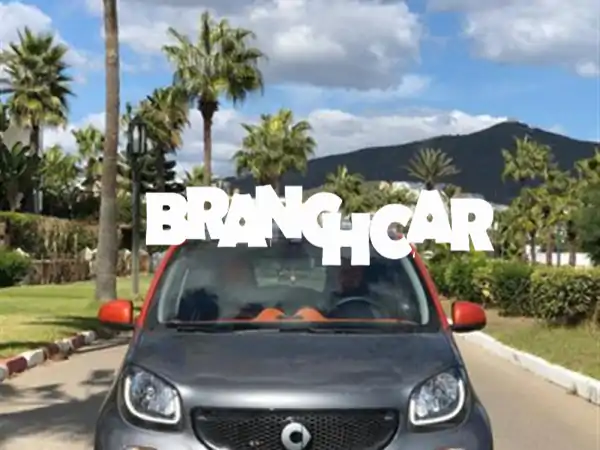 Smart Forfour 2015 Unique Excellent État