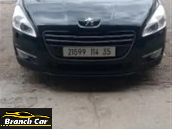 Peugeot 5082014508