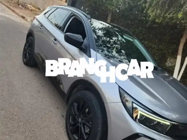أوبل جراندلاند X 2023 ديزل أوتوماتيك - المالك الأول |...