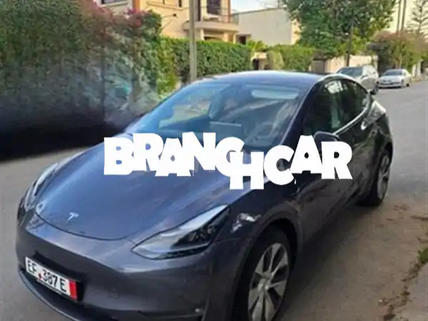 تيسلا موديل Y 2021: مدى 542+ كم، ضمان المصنع، تجربة...