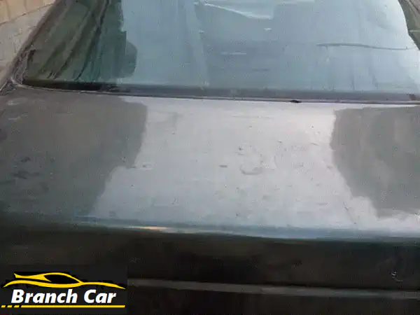 بيجو 405 موديل 1995 أخضر كلاسيكي: شاهد بنفسك، المعاينة...