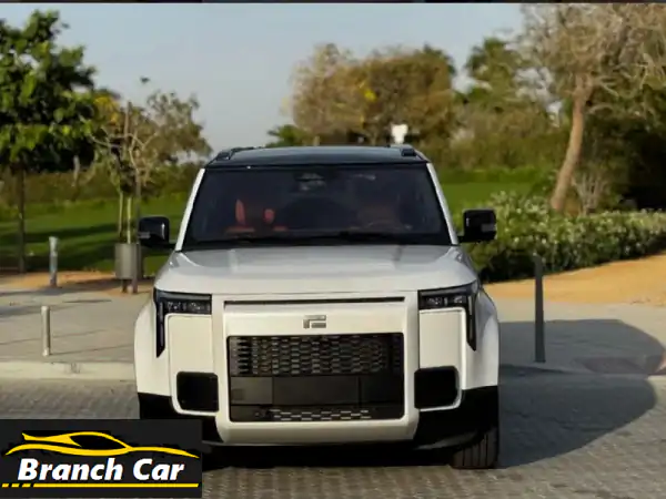 روكس VIP هايبرد 2025 الجديدة: 6 مقاعد، 0 كم، قمة...