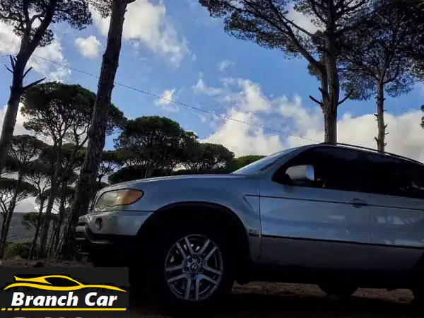 فرصة لا تعوض: امتلك BMW X5 2001 الرمادية الأنيقة! (الرقم...