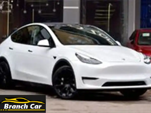 امتلك المستقبل اليوم! تسلا Model Y 2021 للبيع في دمياط...