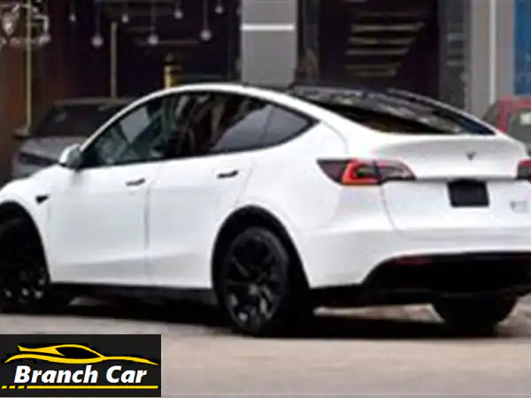 امتلك المستقبل اليوم! تسلا Model Y 2021 للبيع في دمياط - قيادة كهربائية ذكية بانتظارك.