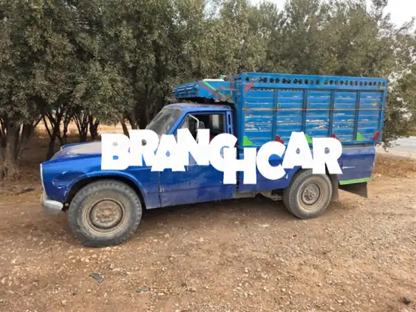 جوهرة كلاسيكية للبيع: نيسان بيك أب 1979/1980 - قوة مانيوال واعتمادية لا تساوم (52000)