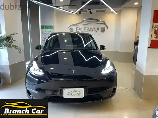 تسلا موديل واي