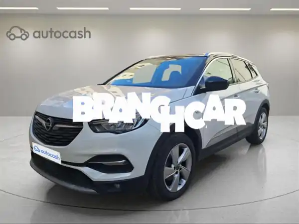 أوبل جراندلاند 2020: امتلكها اليوم! فحص دقيق، تمويل...