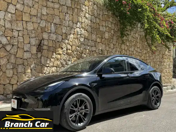 تسلا موديل Y RWD 2023 الكهربائية: رفاهية الأداء...