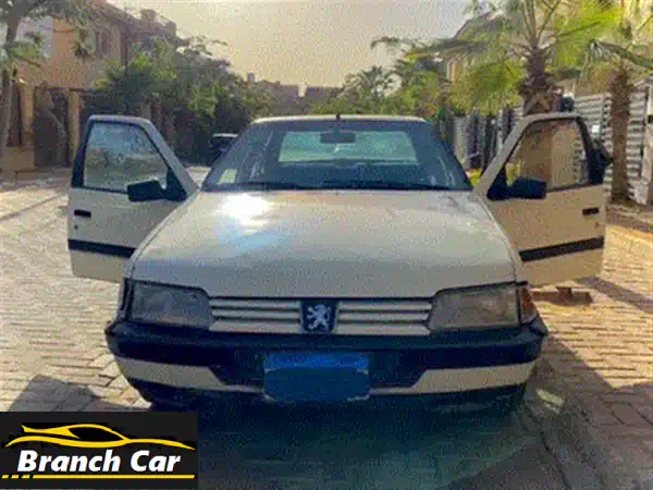 بيجو 405 برستيج 1992: بنزين وغاز طبيعي | رخصة 2026 | وفر فلوسك!