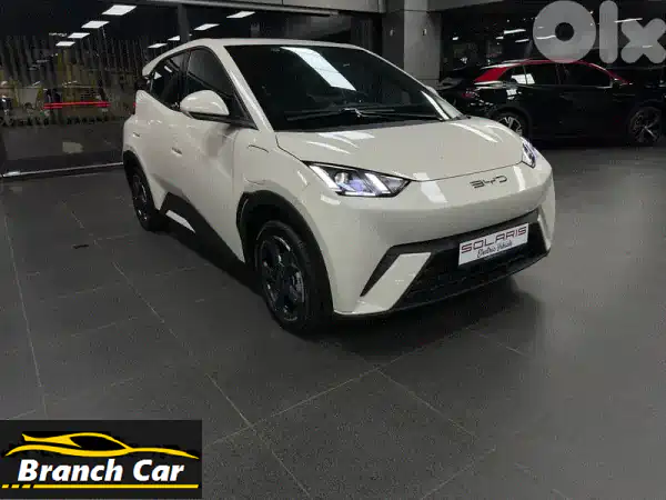 BYD Seagull Flying 2025: سيارة المدينة الكهربائية...