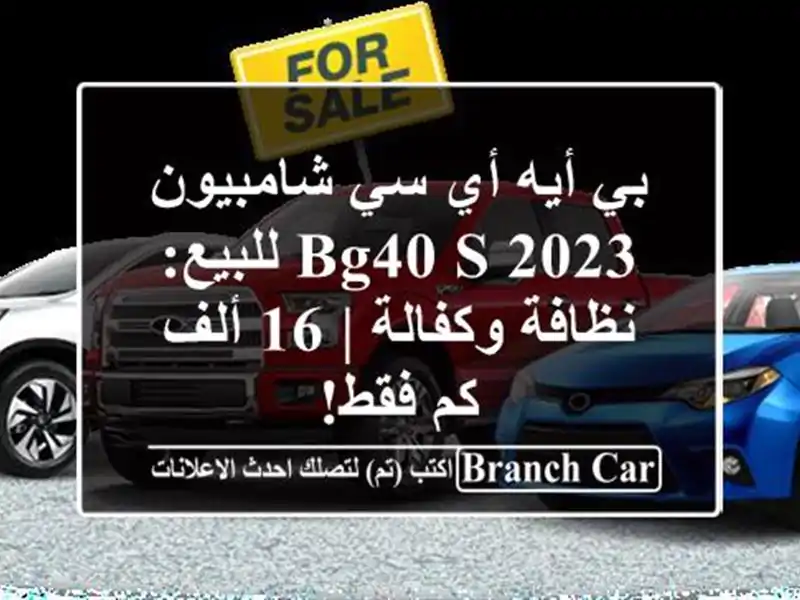 بي أيه أي سي شامبيون BG40 S 2023 للبيع: نظافة وكفالة | 16...