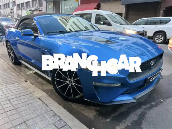 فرصة ذهبية: فورد موستنج كابورليه 2021 – الأناقة،...