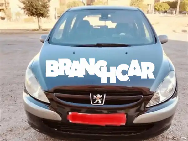 فرصة لا تتكرر! بيجو 307 HDi ديزل 2005 | قوة 1.6L واقتصادية للبيع