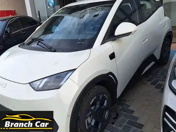 BYD Seagull 2025 Smart Drive: مستقبل القيادة الذكية والأمان الأنيق!