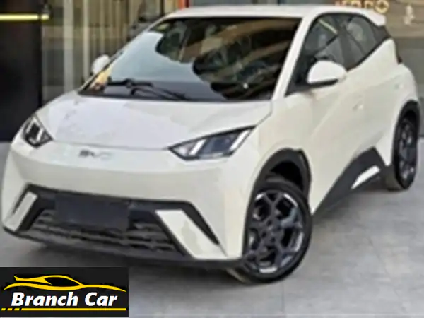 BYD Seagull 2025 الكهربائية: قيادة ذكية، اقتصادية، ومستقبلية تنتظرك!