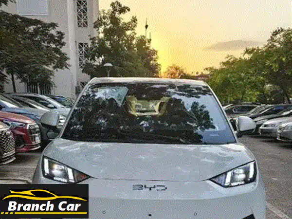 BYD Seagull 2025 Smart Drive: مستقبل القيادة الذكية والأمان الأنيق!