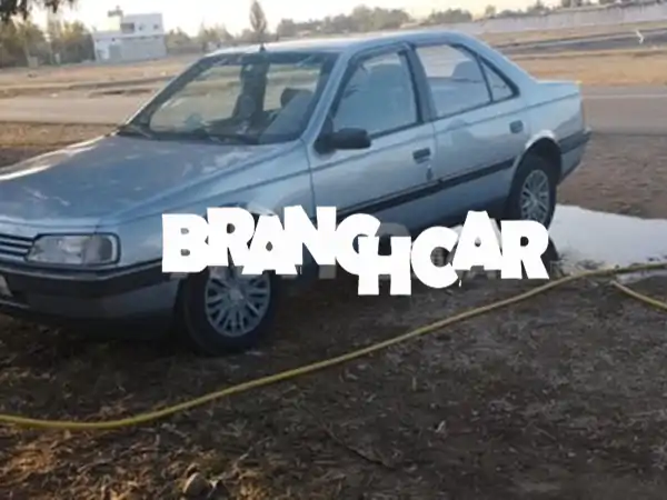 بيجو 405 موديل 92 ديوانة 98 مليحة