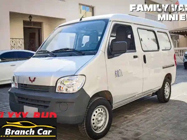 ولينغ ميني إي في 2025 الفضية: سيارة عائلية كهربائية...