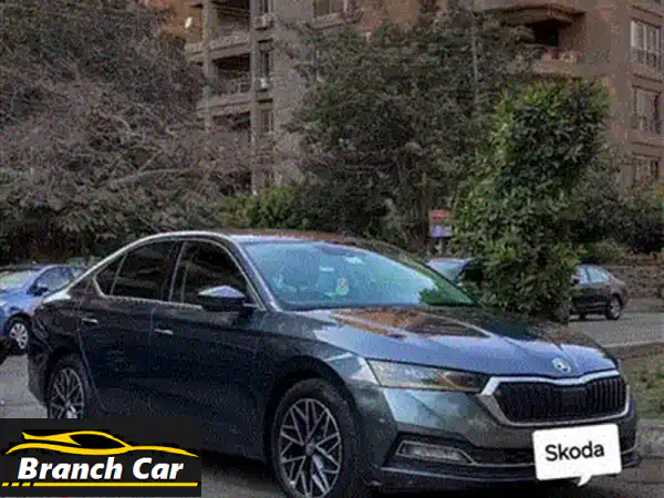 بالضمان + كاش باك + تقسيط مباشربدون فوائد الإستلام فى يناير