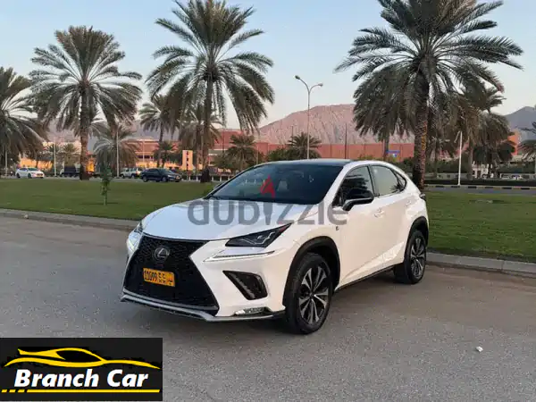 لكزس NX 300 F Sport 2020 - فخامة وعملية بسعر لا يُقاوم!...