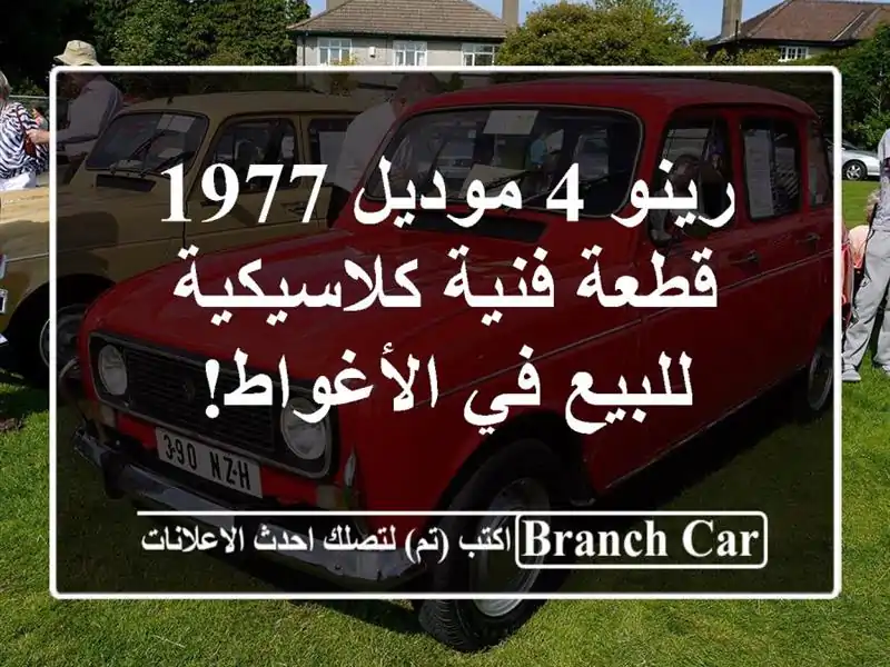 رينو 4 موديل 1977 - قطعة فنية كلاسيكية للبيع في الأغواط!