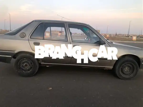 بيجو 309 كلاسيكية - فرصة ذهبية بـ 23000 فقط! (مع صور)