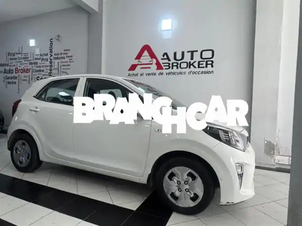 Kia Picanto 2021 - اقتصادية وعملية، متوفرة الآن في...