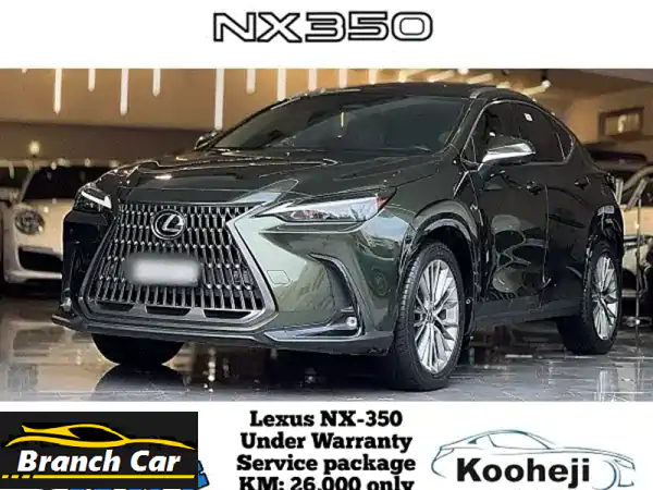 لكزس NX 350 2024 - كالجديدة!  (خيار مثالي،  ضمان وكالة،...
