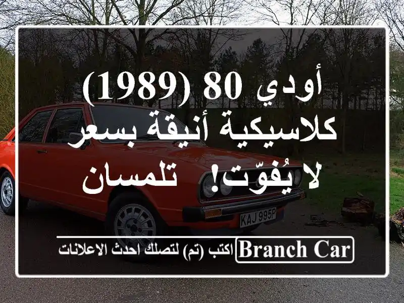 أودي 80 (1989) كلاسيكية أنيقة بسعر لا يُفوّت! - تلمسان