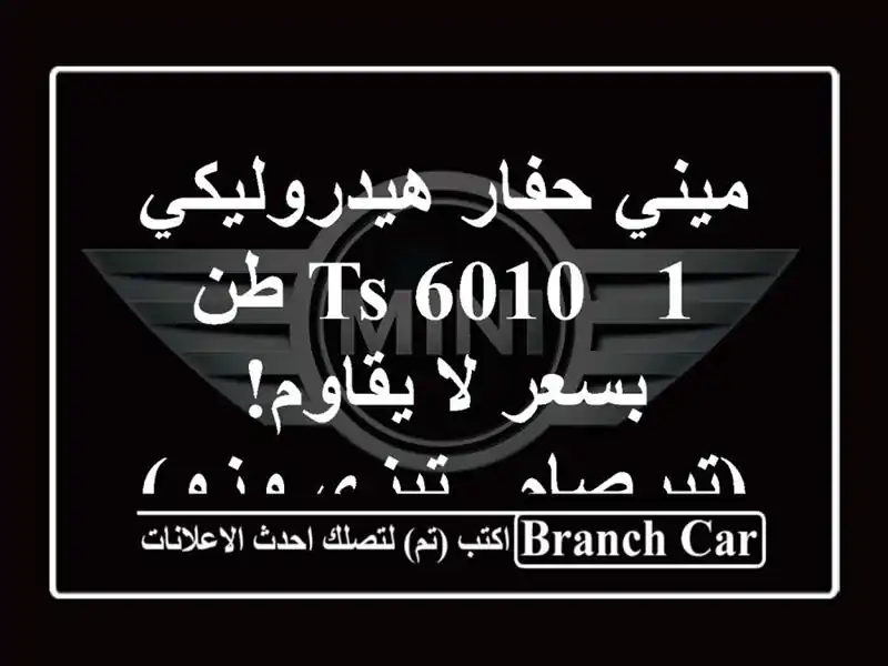 ميني حفار هيدروليكي TS-6010 - 1 طن بسعر لا يقاوم!  (تيرصام...