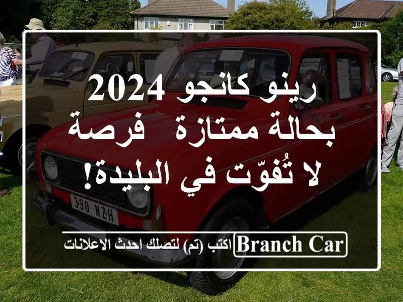 رينو كانجو 2024 بحالة ممتازة - فرصة لا تُفوّت في البليدة!