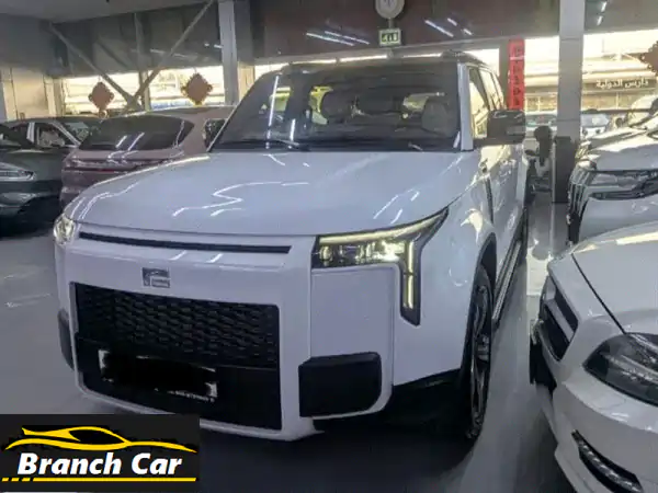 🚗 ROX 01 EV بيضاء فاخرة - 6 مقاعد كهربائية!  (مستوردة...