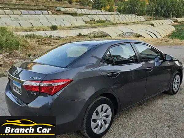 تويوتا كورولا 2014 بحالة ممتازة - مالك واحد! (10,000 فقط)