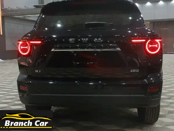 وصل حديثا h720264*4 سعة المحرك 2.0 لتر 4 سلندر ناقل حركة أوتوماتيكي نظام القيادة المتعددة (رياضي ...