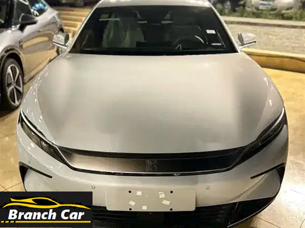 بى واى دى هان 2024. Byd han 700 km