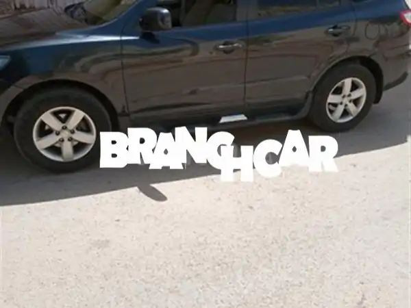 هيونداي سانتا فيه 2007 (ديزل، يدوي) -  سعر مغرٍ، حالة ممتازة!