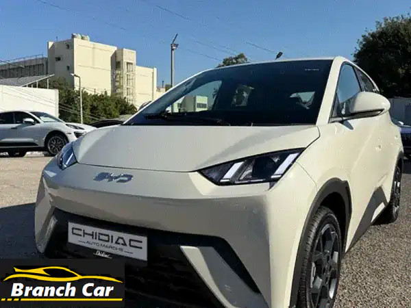 BYD Seagull 2025: طائر البحر الأبيض - رحلة كهربائية لا تُنسى!