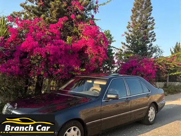 مرسيدس بنز S320 موديل 1997 - جوهرة كلاسيكية بالقرب من صيدا!