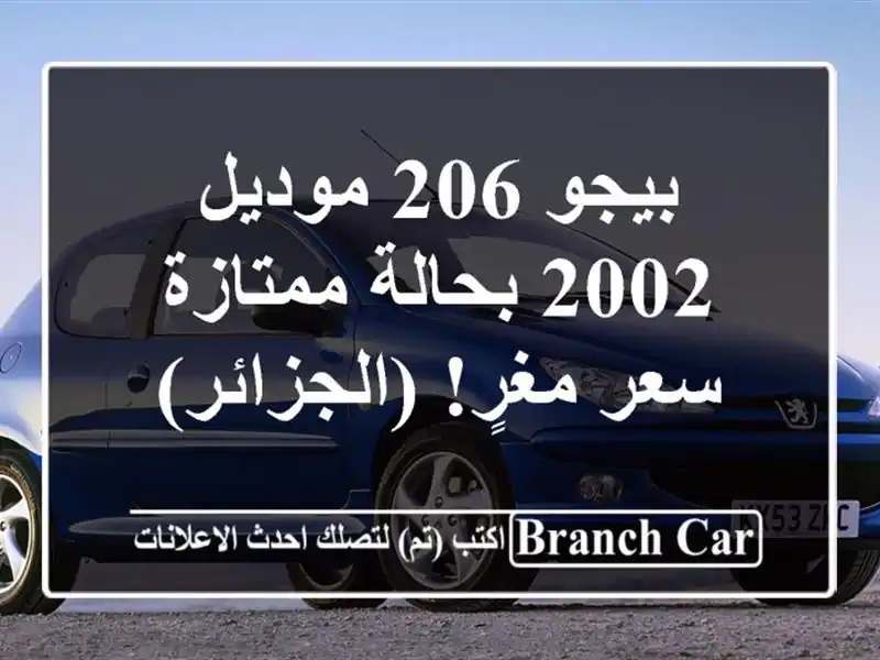 بيجو 206 موديل 2002 بحالة ممتازة - سعر مغرٍ! (الجزائر)