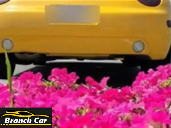فولكس فاغن بيتل للبيع عجمان
